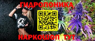 круглые Будённовск