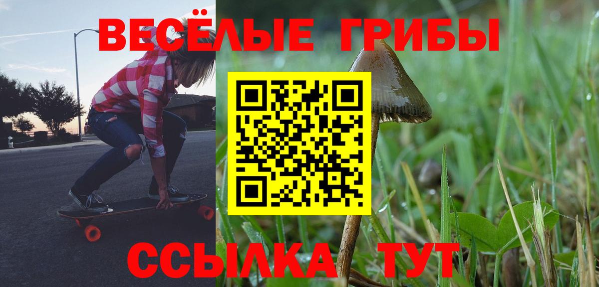 Морозовск  Галлюциногенные грибы Psilocybe  Вход с VPN 